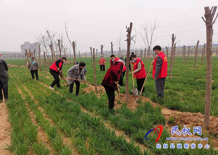 春暖三月學(xué)雷鋒，植樹護(hù)綠我先行