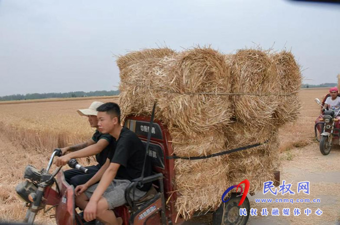 民權縣人和鎮(zhèn)：秸稈禁燒綜合利用變廢為寶