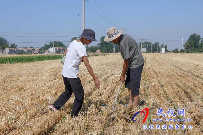 民權(quán)縣人和鎮(zhèn)迅速掀起抗旱搶種保苗高潮