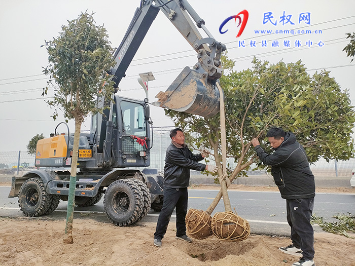 民權(quán)縣花園鄉(xiāng)：植樹造林讓村莊綠起來