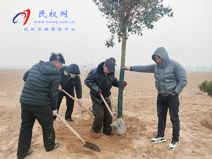 民權(quán)縣花園鄉(xiāng)：植樹造林讓村莊綠起來