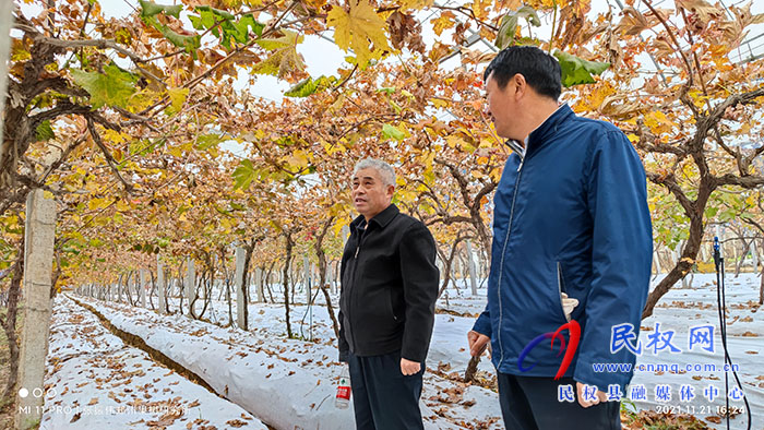 小菌菇 大能量——林下種植菌菇，助推鄉(xiāng)村振興