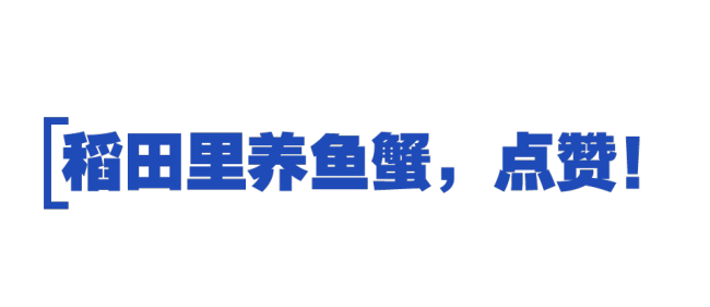 總書(shū)記的“大食物觀”