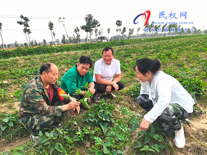 龍?zhí)伶?zhèn)：夏種正當(dāng)時 夏管抓落實