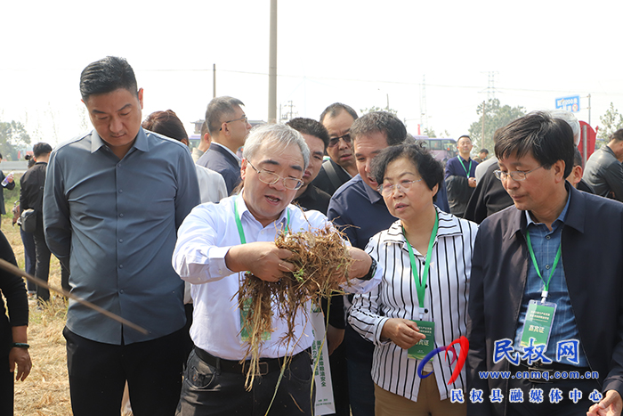 全國首屆油莎豆科研成果轉(zhuǎn)化暨產(chǎn)業(yè)發(fā)展會(huì)議召開